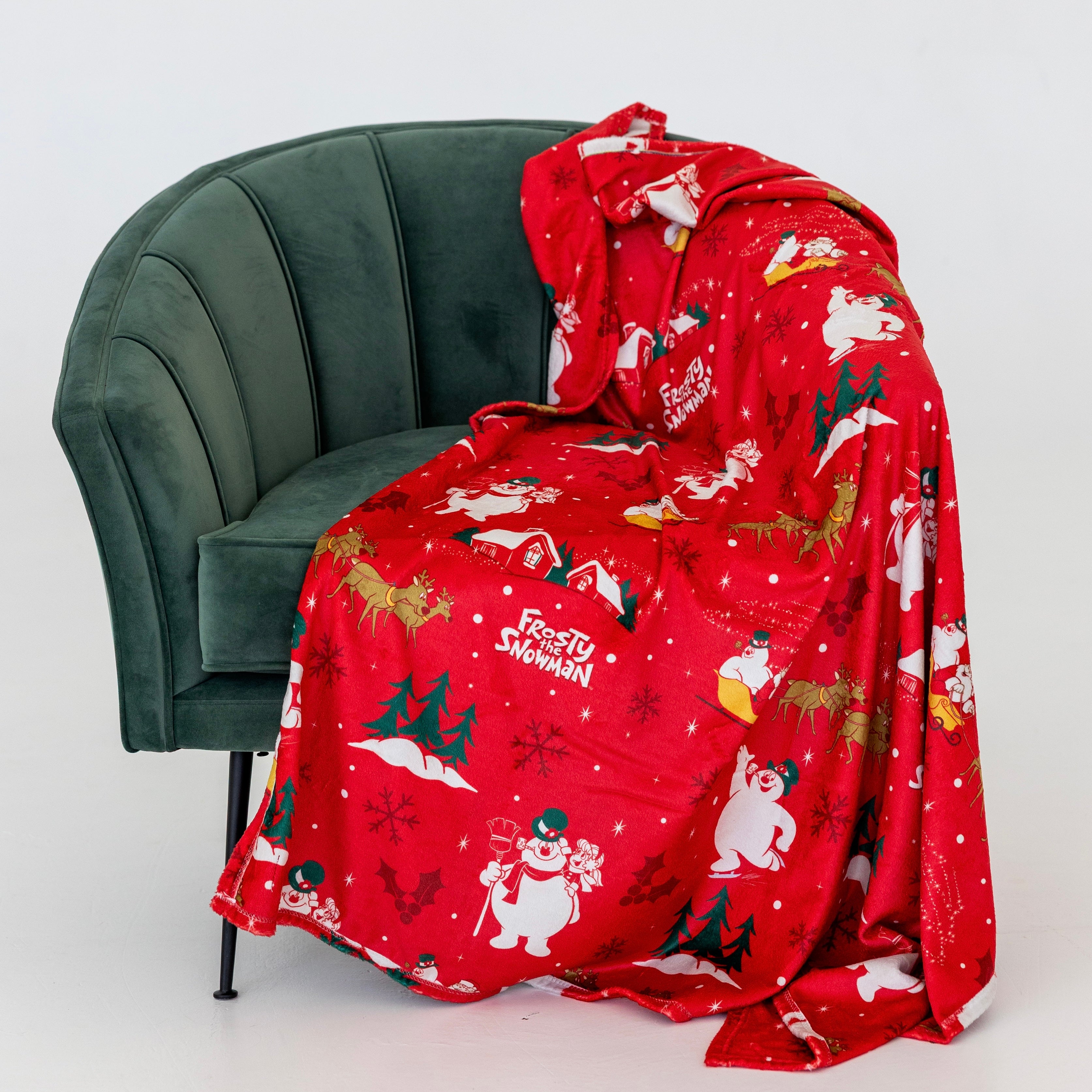 Warner Bros Holiday Blanket