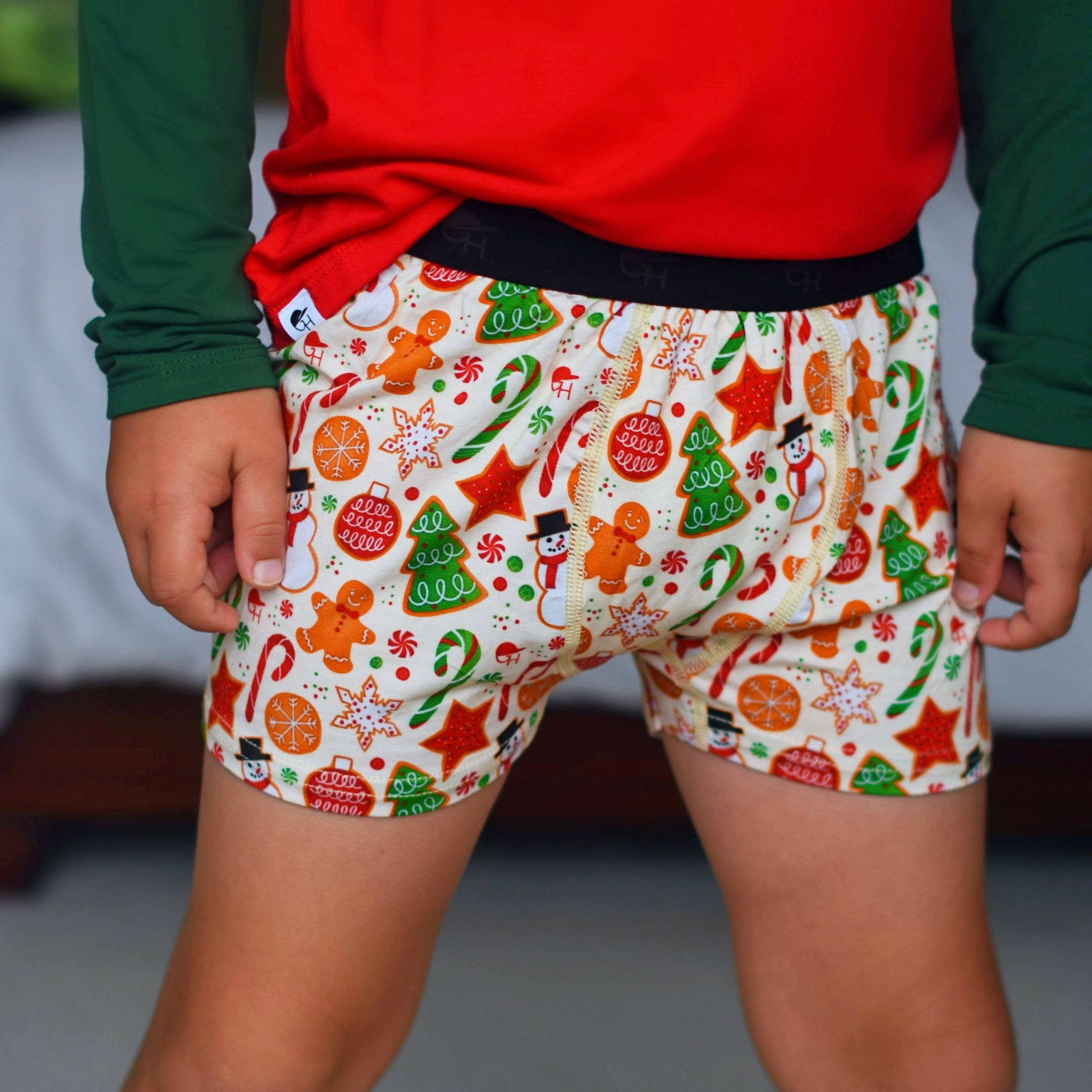 Santa Bamboo Boxer Briefs