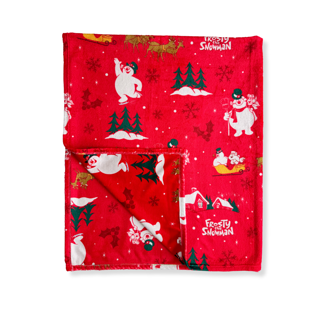 Warner Bros Holiday Blanket