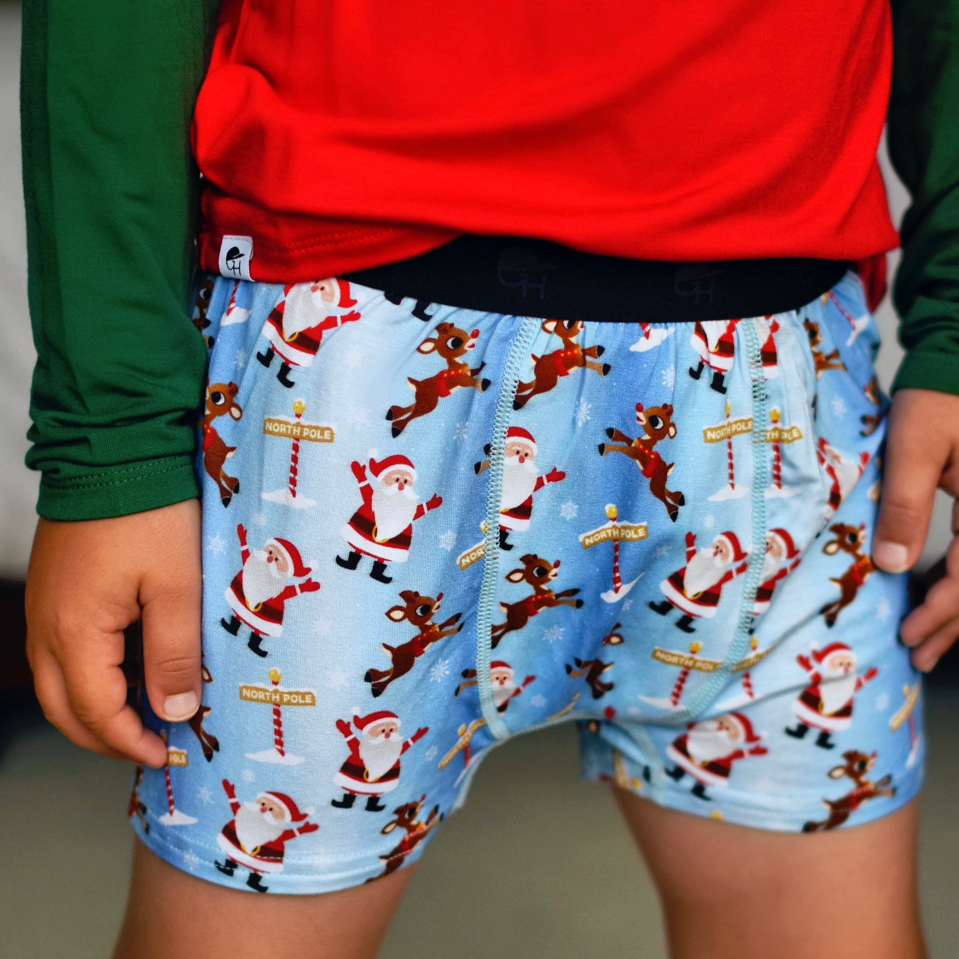 Santa Bamboo Boxer Briefs