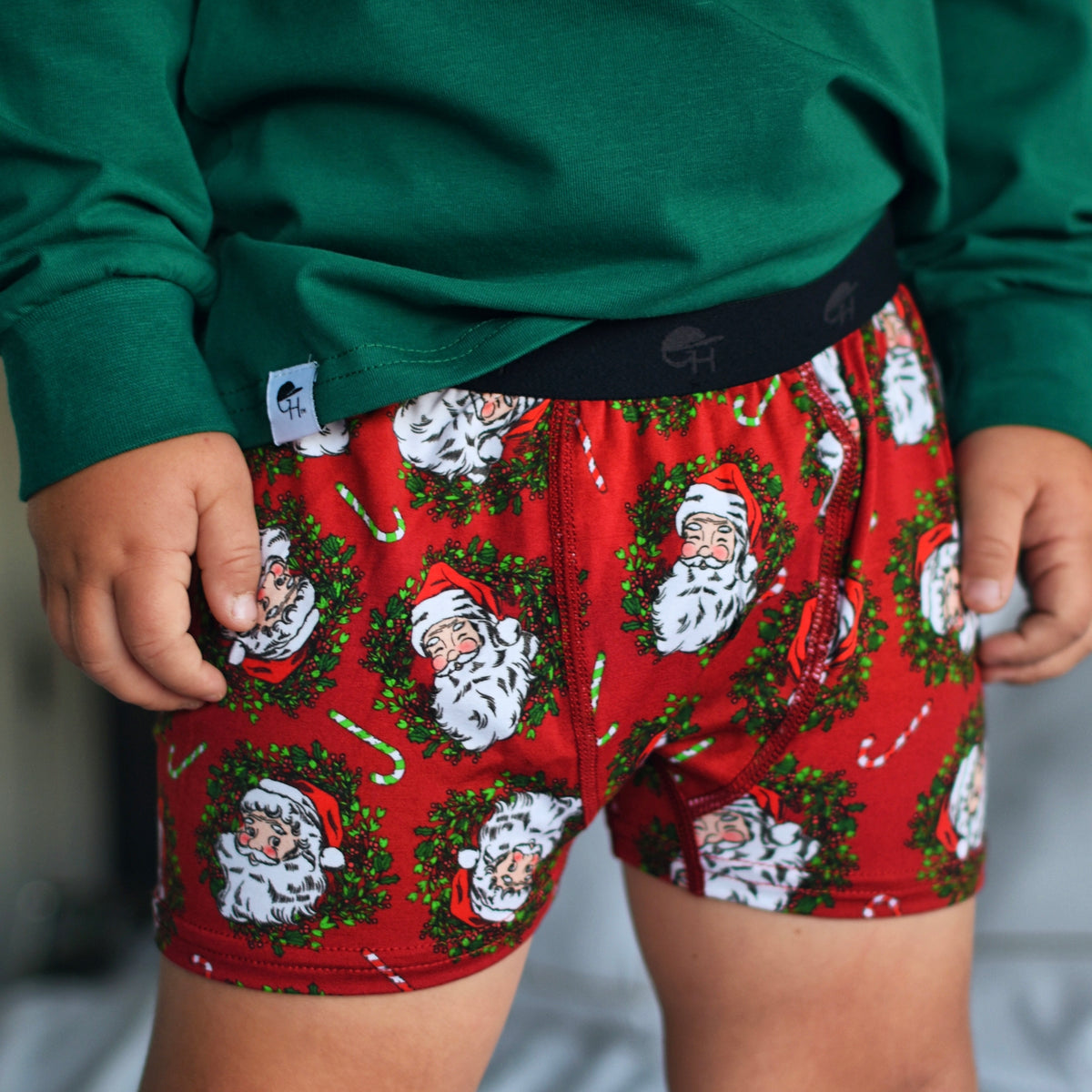 Holiday Bamboo Boxer Briefs