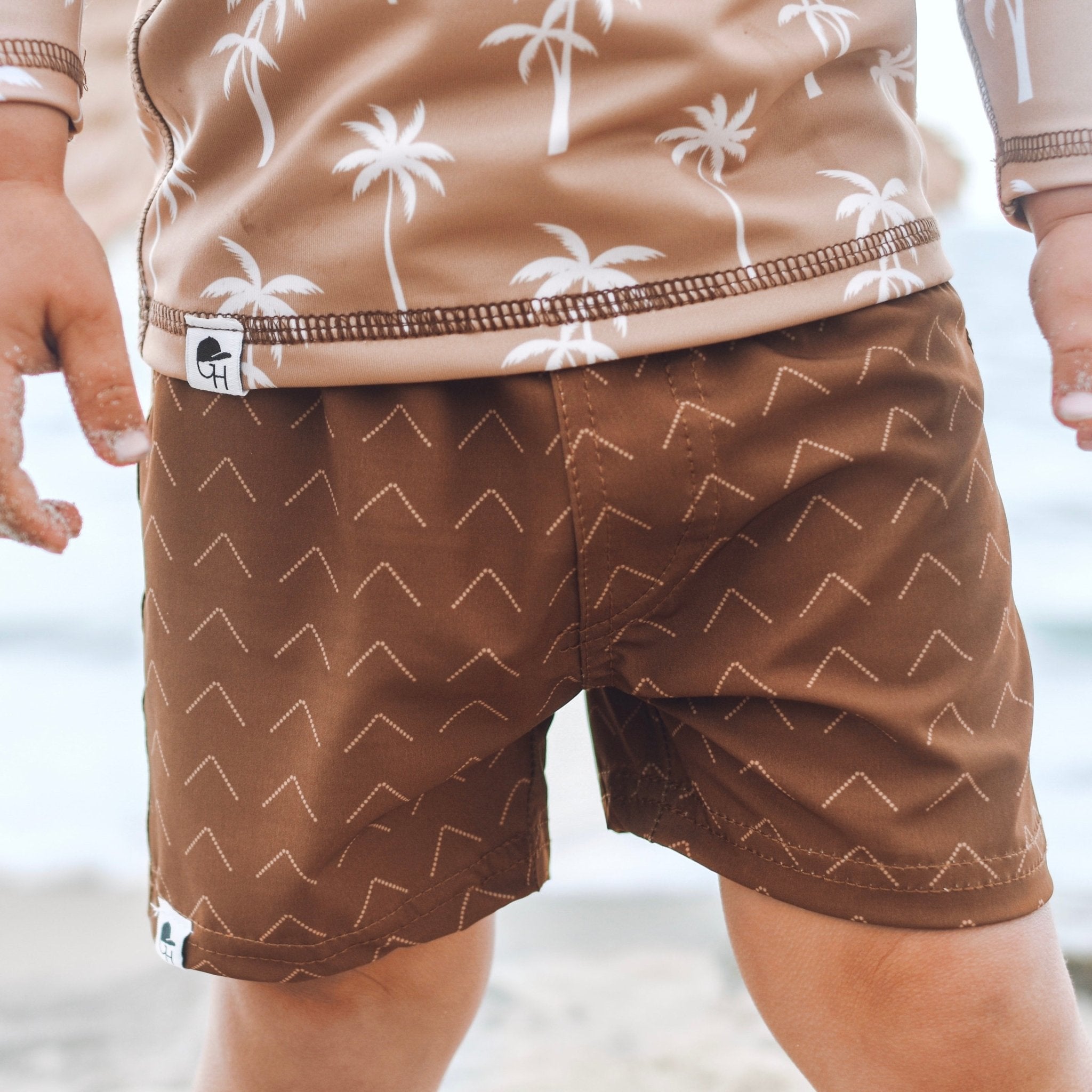 Copper Triangle Hybrid Swim Shorts - George Hats