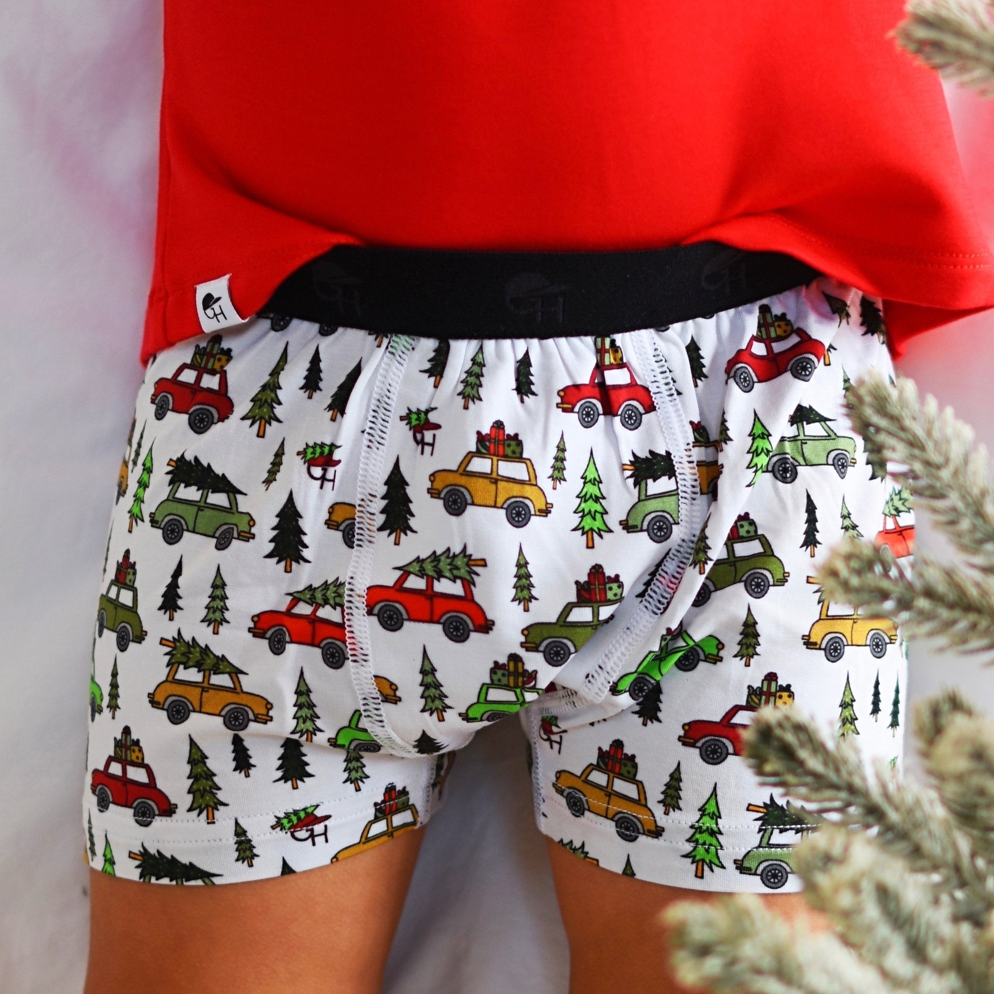 Holdiay Boxer Briefs - George Hats