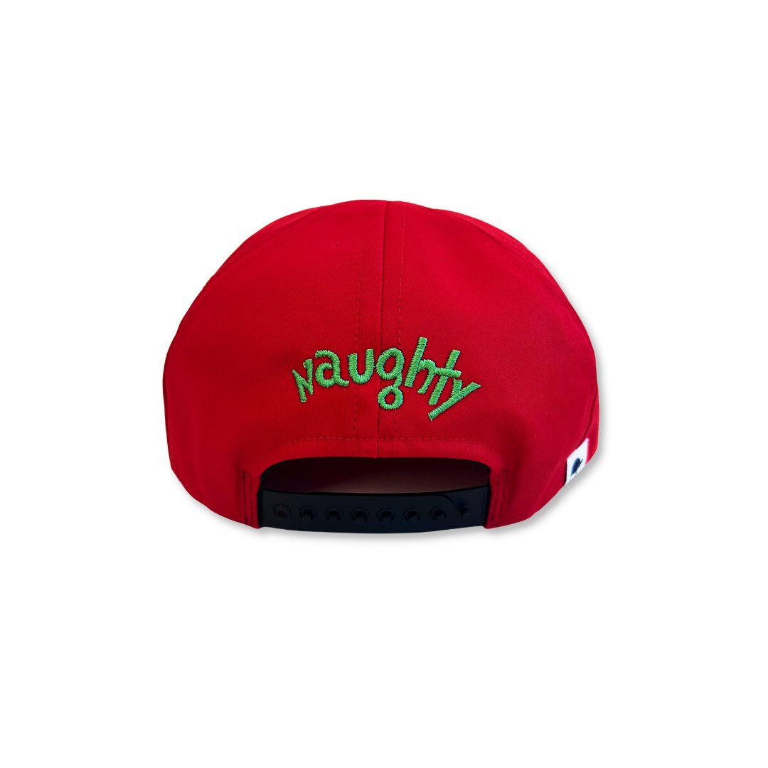 Naughty Nice Trucker - George Hats